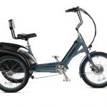 Pedego Trike ©